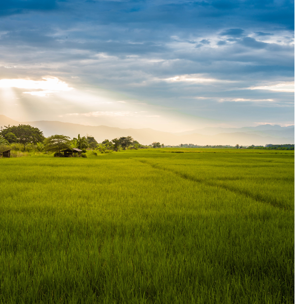 Untitled design (19)